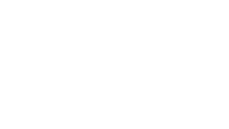 High Flyers Logo